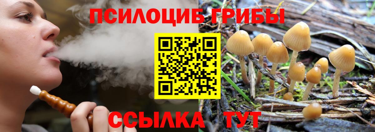 Псилоцибиновые грибы MAGIC MUSHROOMS  Вход с VPN  Хабаровск 